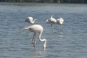 جولة في غرب صلالة من فيزيت صلالة