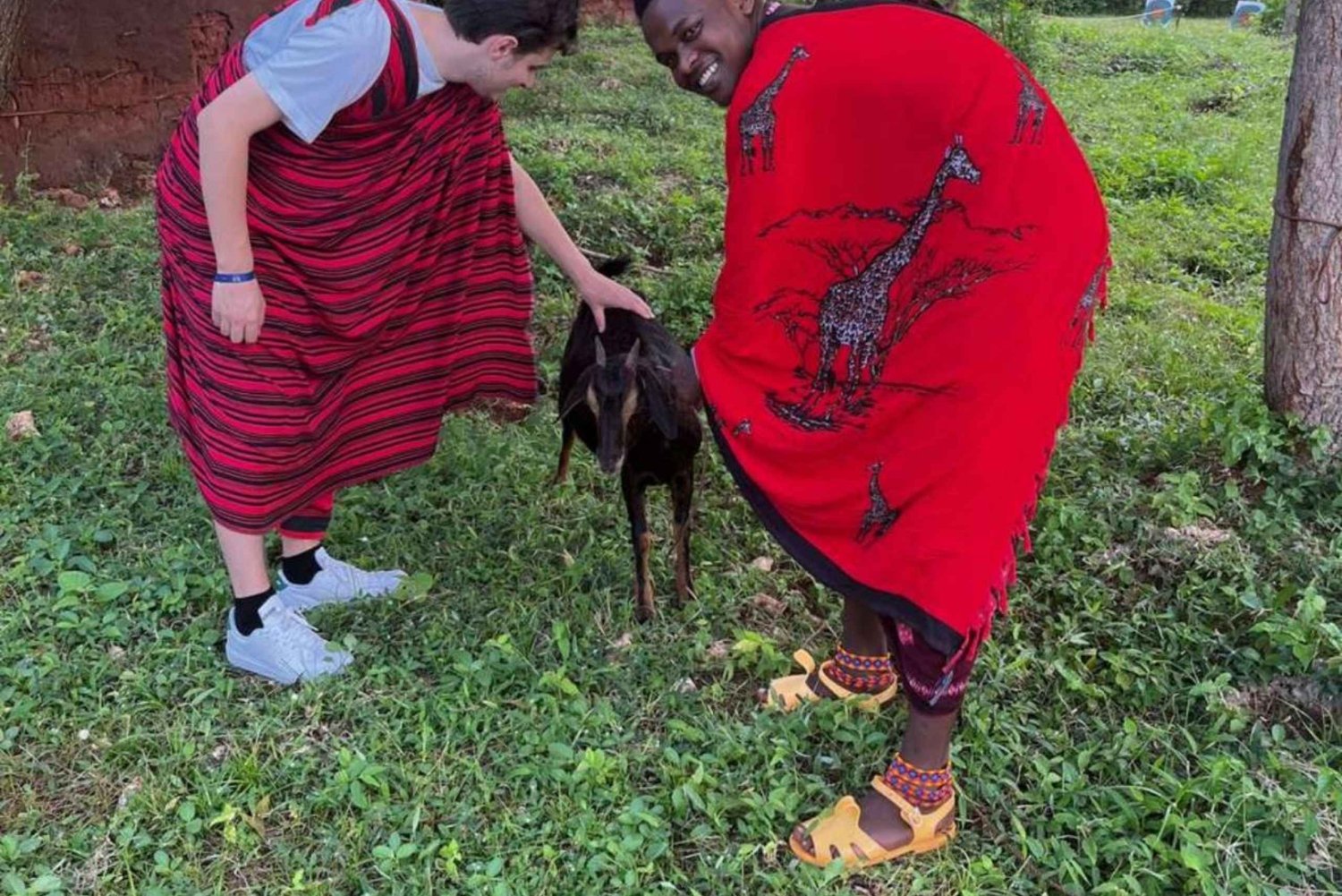 Sansibar: Maasai-Kulturtour und Meeresschildkrötenschutzgebiet