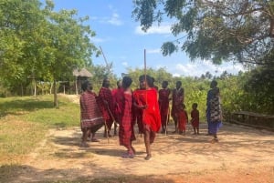 Zanzibar : visite culturelle Maasai et sanctuaire des tortues de mer