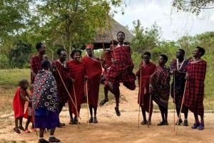 Zanzibar : visite culturelle Maasai et sanctuaire des tortues de mer