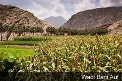 Al Batinah North and Al Batinah South