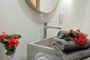 1 nuit à Chagres Lodge + visite de l'île aux singes + canoë-kayak