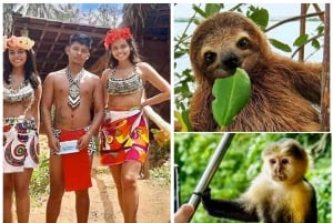 Combo de excursão de 2 dias: Macaco e Preguiça + Tribo Embera