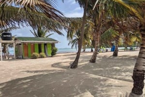 2 Days in Remote San Blas + Tour to magical Cambombia Island