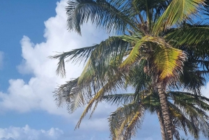 2 jours de navigation dans les îles San Blas - Chambre privée en catamaran