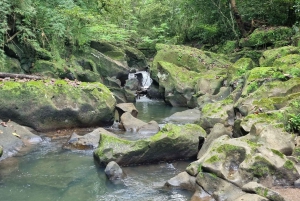 5 timers tur til apeøya Embera samfunnet Gamboa Panama