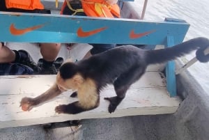 5 heures de visite de l'île aux singes Embera community Gamboa Panama