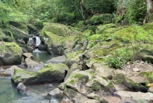 5 Hours Tour to Monkey Island Embera community Gamboa Panama