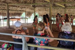 5 Hours Tour to Monkey Island Embera community Gamboa Panama