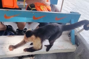 5 Hours Tour to Monkey Island Embera community Gamboa Panama