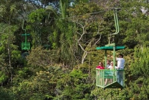 Aerial Tram, Gatun Boat Tour, Sloth Sanctuary + Buffet Lunch