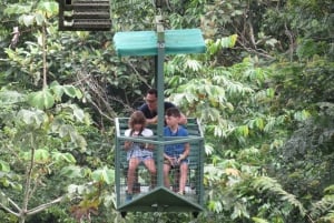 Da Panama City: Tour del tram aereo e del santuario dei bradipi