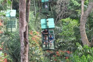 Desde Ciudad de Panamá: Excursión en Teleférico y Santuario de Perezosos
