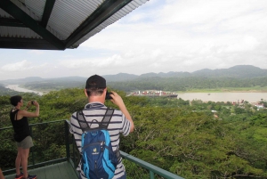From Panama City: Aerial Tram and Sloth Sanctuary Tour