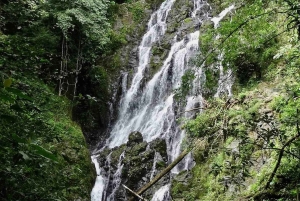 Anton Valley Day Tour with Hiking