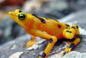 Anton Valley Day Tour with Hiking