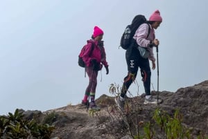 Volcan Barú (promenade en 4x4)