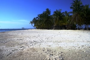 Bidirdub Island San Blas