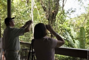 Strada del gasdotto per il birdwatching Gamboa Town and Discovery Center