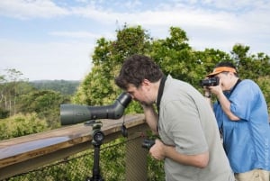 Birdwatching Pipeline Road Gamboa Town and Discovery Center