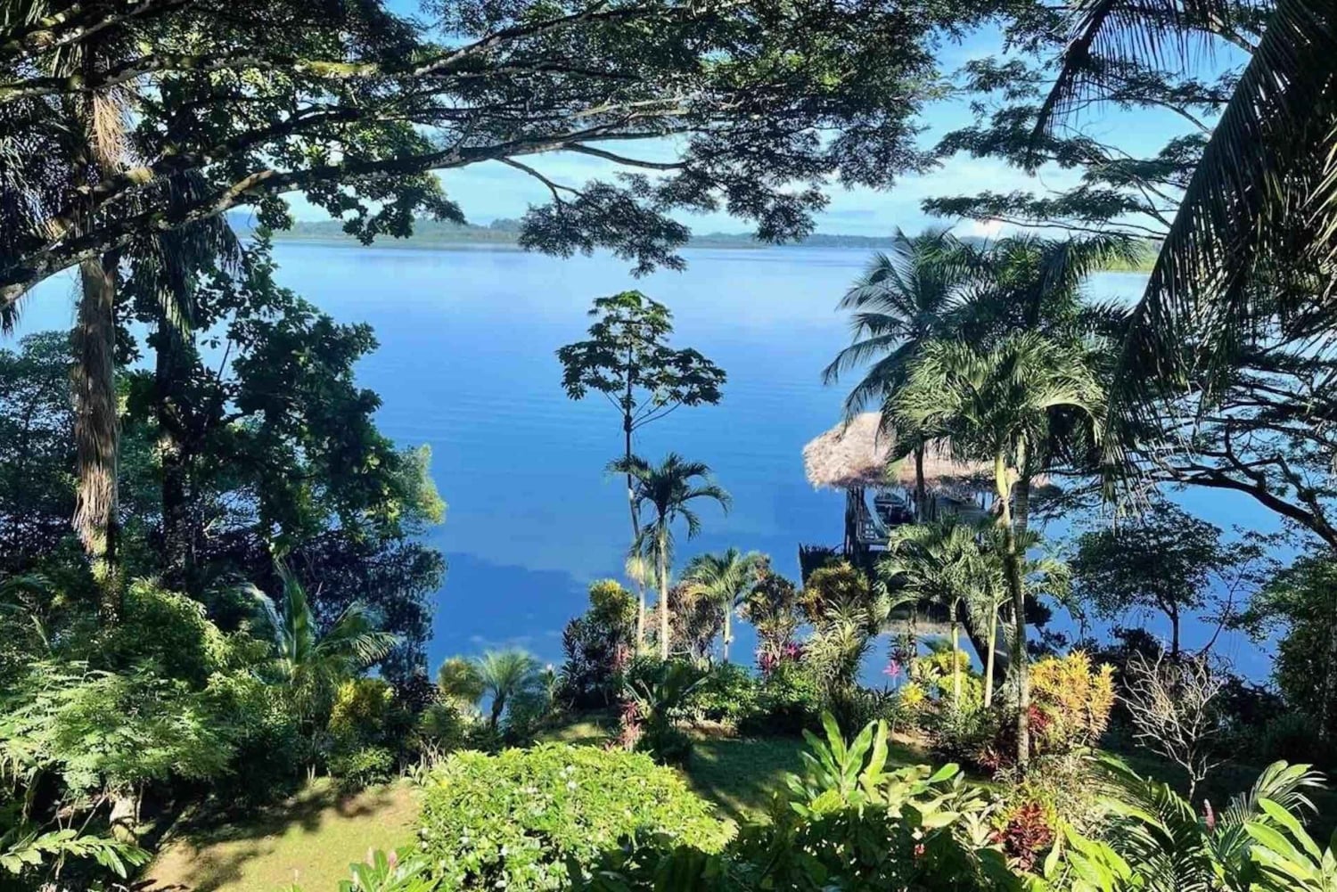 Bocas del Toro: Dolphin Bay, Chocolate Farm & Snorkel Tour