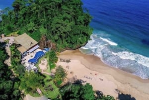 Bocas del Toro: Dolphin Bay, Chocolate Farm & Snorkel Tour