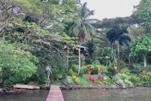 Bocas del Toro: Dolphin Bay, Chocolate Farm & Snorkel Tour