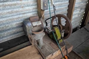 Bocas del Toro: Dolphin Bay, Chocolate Farm & Snorkel Tour