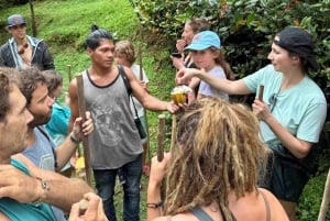 Bocas del Toro: Dolphin Bay, Chocolate Farm & Snorkel Tour