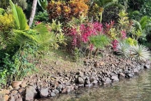 Bocas del Toro: Dolphin Bay, Chocolate Farm & Snorkel Tour