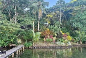 Bocas del Toro: Dolphin Bay, Chocolate Farm & Snorkel Tour