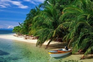 Bocas del Toro: Dolphin Bay, Chocolate Farm & Snorkel Tour