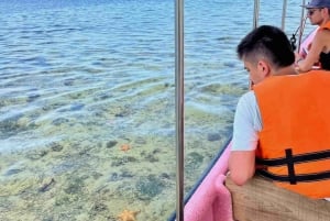 Bocas del Toro: Dolphin Bay, Chocolate Farm & Snorkel Tour