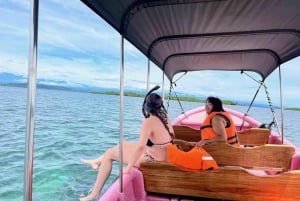 Bocas del Toro: Dolphin Bay, Chocolate Farm & Snorkel Tour