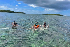 Bocas del Toro: Dolphin Bay, Chocolate Farm & Snorkel Tour