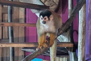 Bocas del Toro: Monkey Island and Cayo Coral Boat Tour