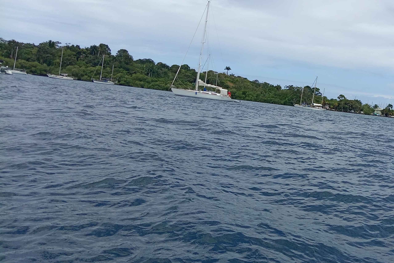 Bocas del Toro: Playa Estrella Boat Tour with Guide