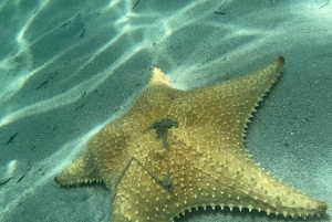 Bocas del Toro: Playa Estrella Boat Tour with Guide
