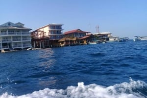Bocas del Toro: Playa Estrella Boat Tour with Guide