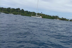 Bocas del Toro: Playa Estrella Boat Tour with Guide