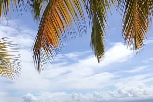 Bocas del Toro: Playa Estrella Boat Tour with Guide