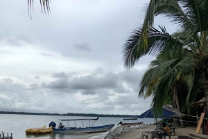 Bocas del Toro: Playa Estrella Boat Tour with Guide