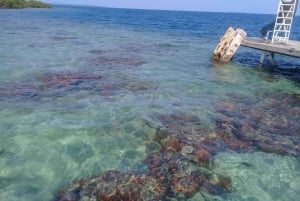 Bocas del Toro: Zapatilla Key, Dolphin Bay, Coral Key