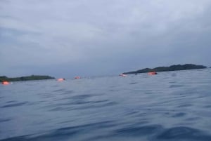 Bocas del Toro: Zapatilla Key, Dolphin Bay, Coral Key