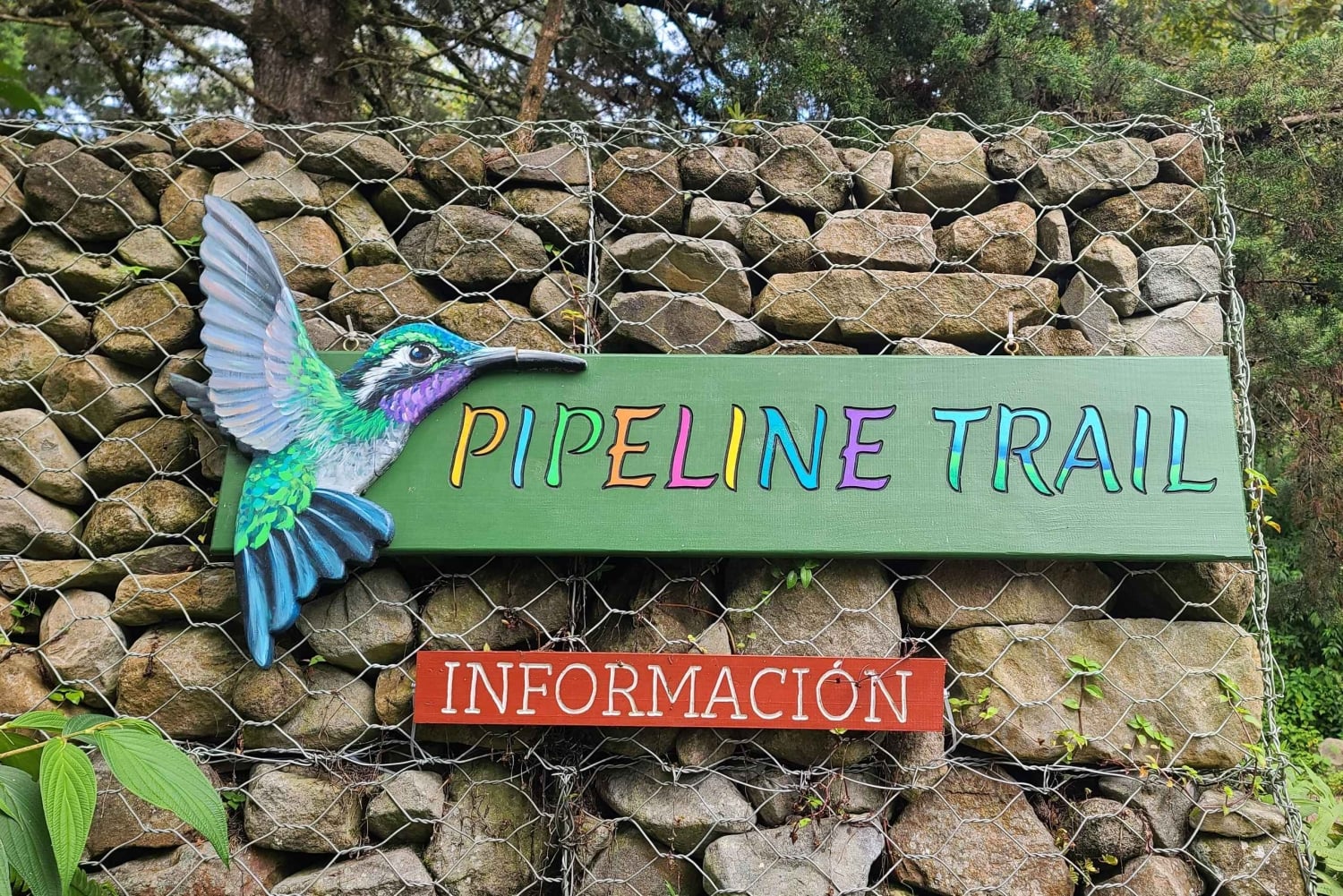 Boquete: Cloud Forest Wildlife Hike Tour - Pipeline Trail