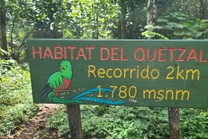 Boquete: Cloud Forest Wildlife Hike Tour - Pipeline Trail