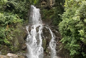 Boquete: Electric Bike Rental