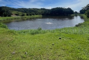 Boquete: Electric Bike Rental