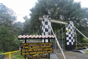 Boquete: Electric Bike Rental