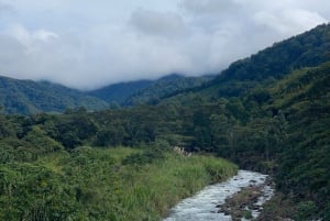 Boquete: Electric Bike Rental